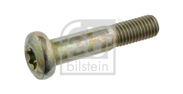 Surub 24391 FEBI BILSTEIN