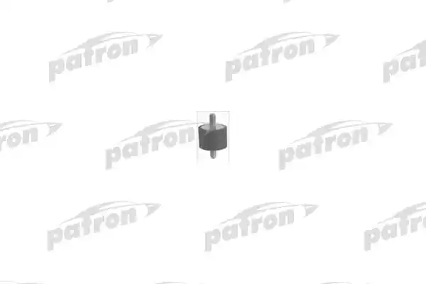 Suport, carcasa filtru aer PSE1158 PATRON