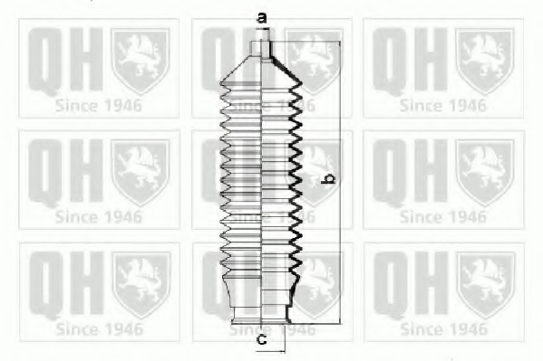 Ansamblu burduf, directie QG1305 QUINTON HAZELL